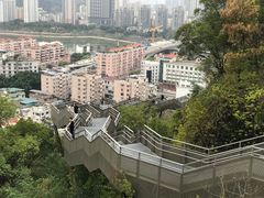 -福道