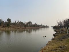 -漩门湾国家湿地公园