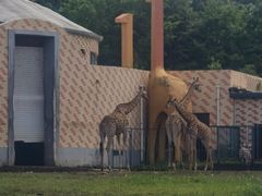 -哈尔滨北方森林动物园