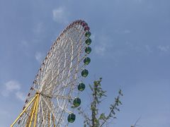 -国色天乡三期陆地乐园