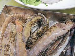 -77号渔船·蒸海鲜青岛菜(积米崖店)