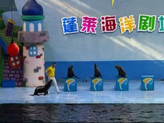 -蓬莱欧乐堡海洋极地世界