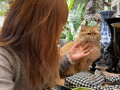 -自由生长植物工作室(深港花卉中心店)