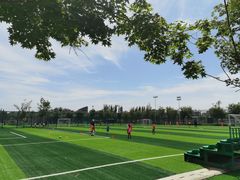 -瀛海足球主题公园