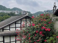 -燊海井