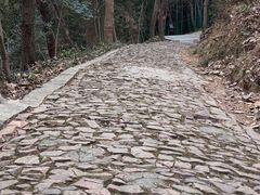 -上海佘山国家森林公园西佘山园