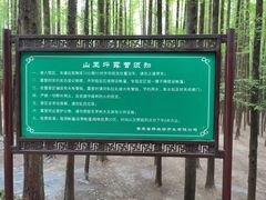 -山王坪喀斯特国家生态公园
