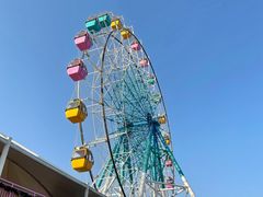 -巨鹏飞梦幻海岸