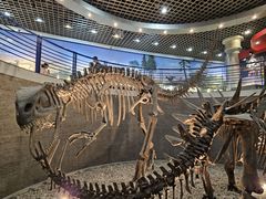 -国家自然博物馆