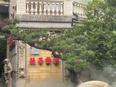 -叶叶菩提(太原别墅店)