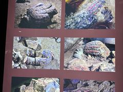-秦始皇帝陵博物院(兵马俑)