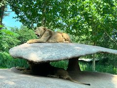-北京野生动物园