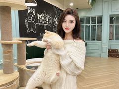 -安格丽娜·狗咖·猫咖羊驼咖(春熙路百盛商场店)