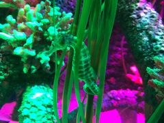 -沈阳海洋探索中心