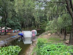 -长白岛森林公园