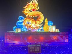 -金沙湖旅游度假区