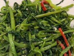 -新旺茶餐厅(嘉里城店)