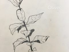 -白鹿艺术美学工作室 1 画室(MOMA校区)