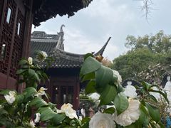 -豫园
