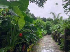 -桂林两江四湖景区