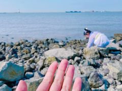 -上海滨江森林公园