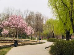 -河北省园博园