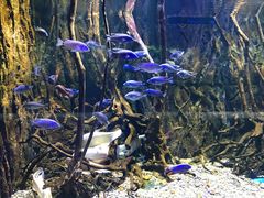 -华夏文旅海洋公园