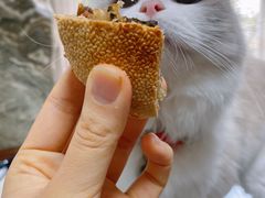 -陈记紫菜饼(湖滨霞店)