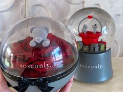 -ROSEONLY诺誓(磐基中心店)