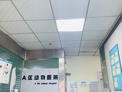 -半岛宠物医院24小时(科华中路店)