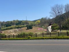 -棒棰岛宾馆景区