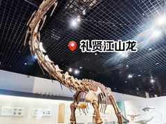 -衢州市博物馆