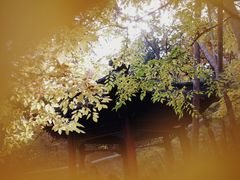 -大觉寺-停车场