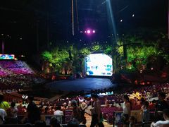 -珠海横琴长隆《卡卡虎奇遇记》