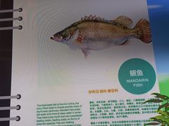 -洋湖国家湿地公园