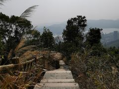 -梧桐山风景名胜区