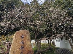 -无锡梅园公园
