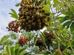 -南宁花花大世界景区