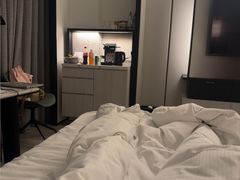 -新加坡乌节希尔顿酒店 (SG Clean)