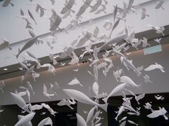 -中国湿地博物馆
