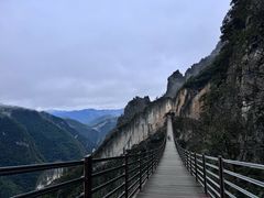 -武陵山森林公园