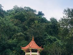 -莫里热带雨林景区