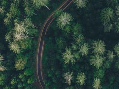 -季季红火锅(长沙步行街店)