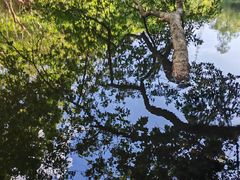 -番禺大夫山森林公园