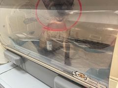 -丹景宠物医院·全科·老年病·牙科(武昌诊疗中心)
