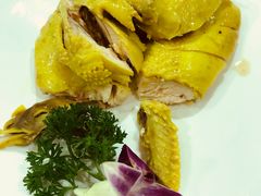 -金龙渔港(双楠店)