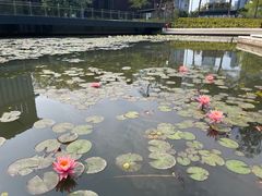 -星巴克(深圳前海企业公馆店)