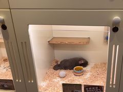 -龙猫仔乐园(惠福东路店)