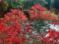 -广州市帽峰山景区