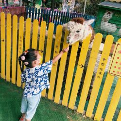 -萌宠亲子动物乐园(槐房万达店)